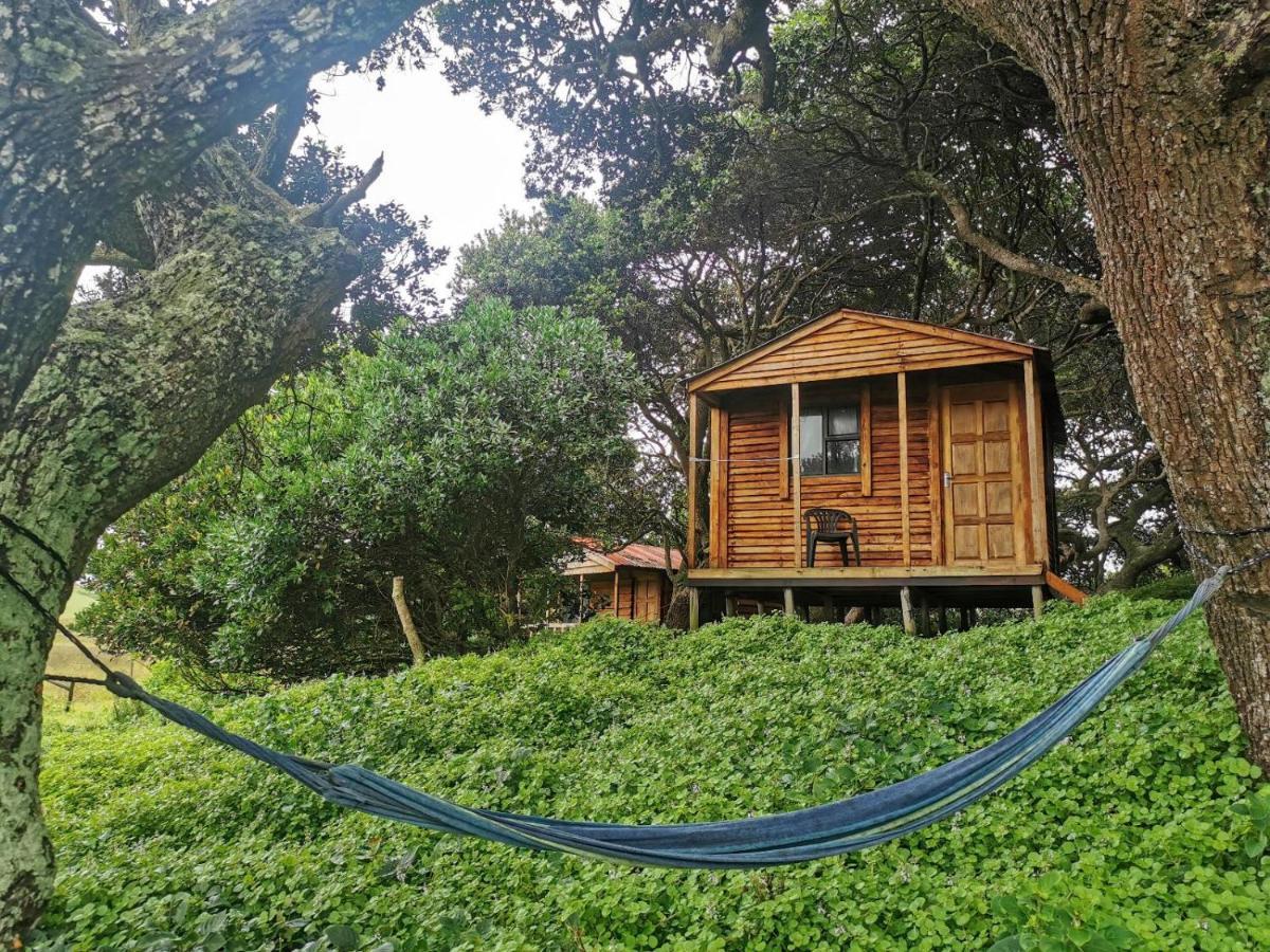 Bulungula Xhosa Community Lodge Phòng bức ảnh